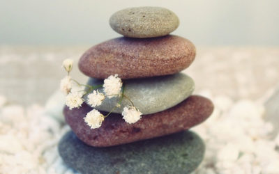 Without Wellness, There Is No Life.  Without Life, There Is No Wellness.