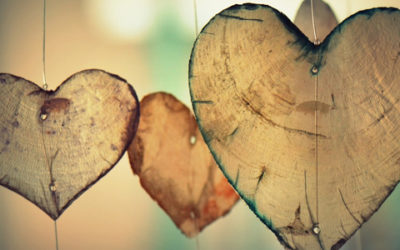 Do What You Love – There Is Nothing More Important Than That.